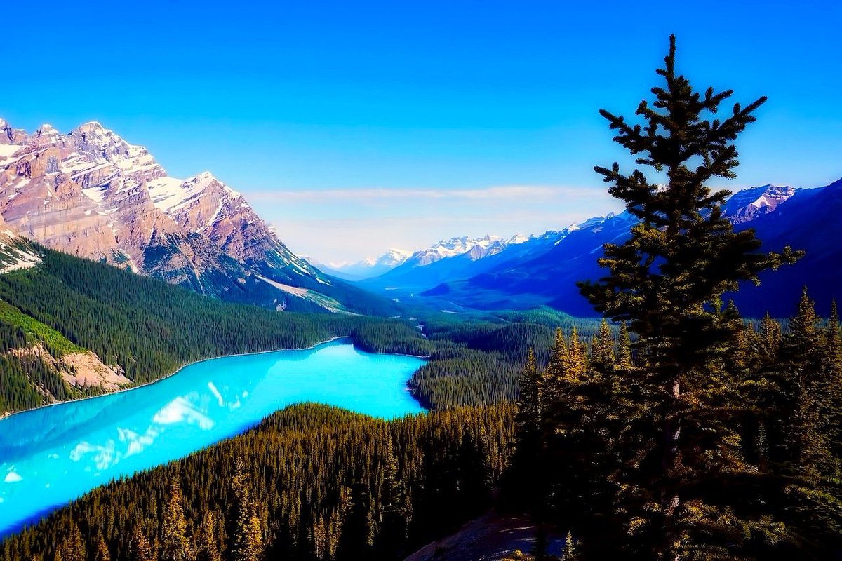 Here is every day you can get into Canada’s National Parks for free this year. With all of them on different dates, you'd be able visit more than one!  🏞️👌  bit.ly/2y8G7Bi