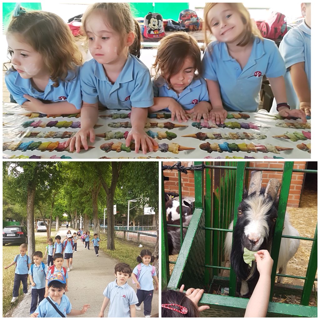 sjc_feye's tweet photo. Los alumnos de 1° Ed. Infantil han disfrutado de un gran día de aprendizaje y convivencia en la “Granja Orea”. 
#excusióngranjaorea #infantil #educación #ciudadreal #castillalamancha #siembrafuturos #colegiosfeye https://t.co/1Q20OVgiFs