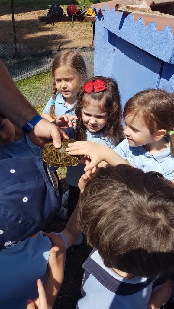 sjc_feye's tweet photo. Los alumnos de 1° Ed. Infantil han disfrutado de un gran día de aprendizaje y convivencia en la “Granja Orea”. 
#excusióngranjaorea #infantil #educación #ciudadreal #castillalamancha #siembrafuturos #colegiosfeye https://t.co/1Q20OVgiFs