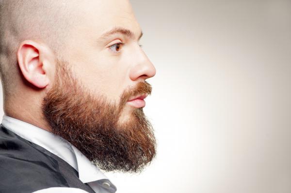 Cómo hacer crecer la barba de forma natural - los mejores remedios belleza.uncomo.com/articulo/como-… #belleza