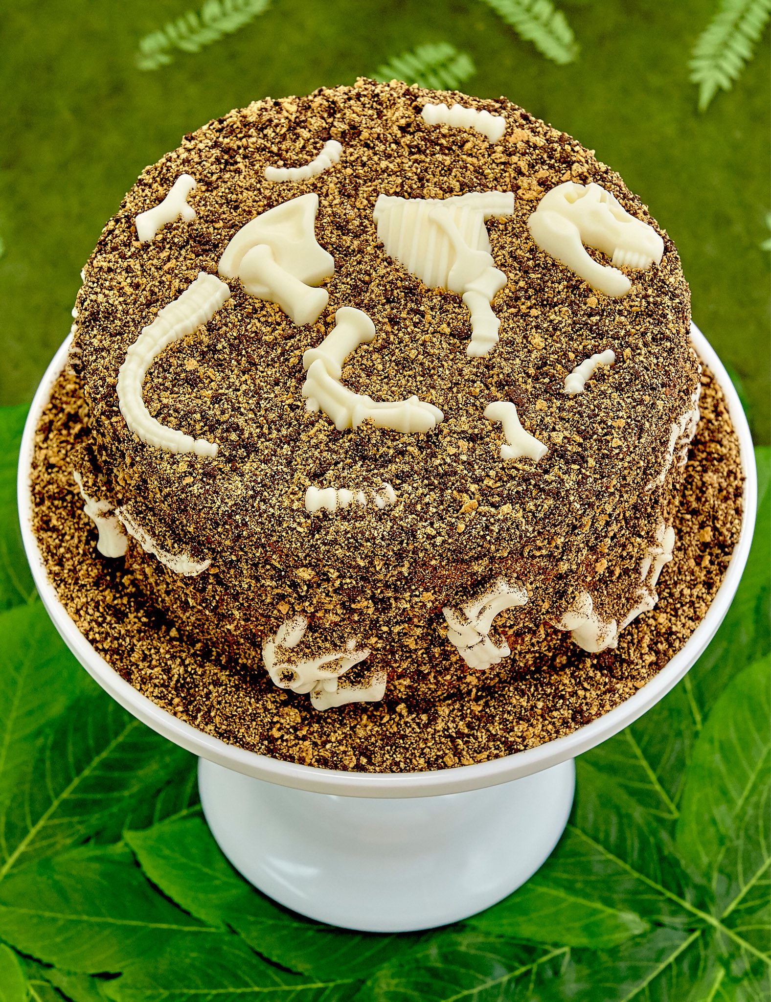 Rosanna Pansino on Twitter "Learn how to make this Dinosaur Fossil Cake from the 