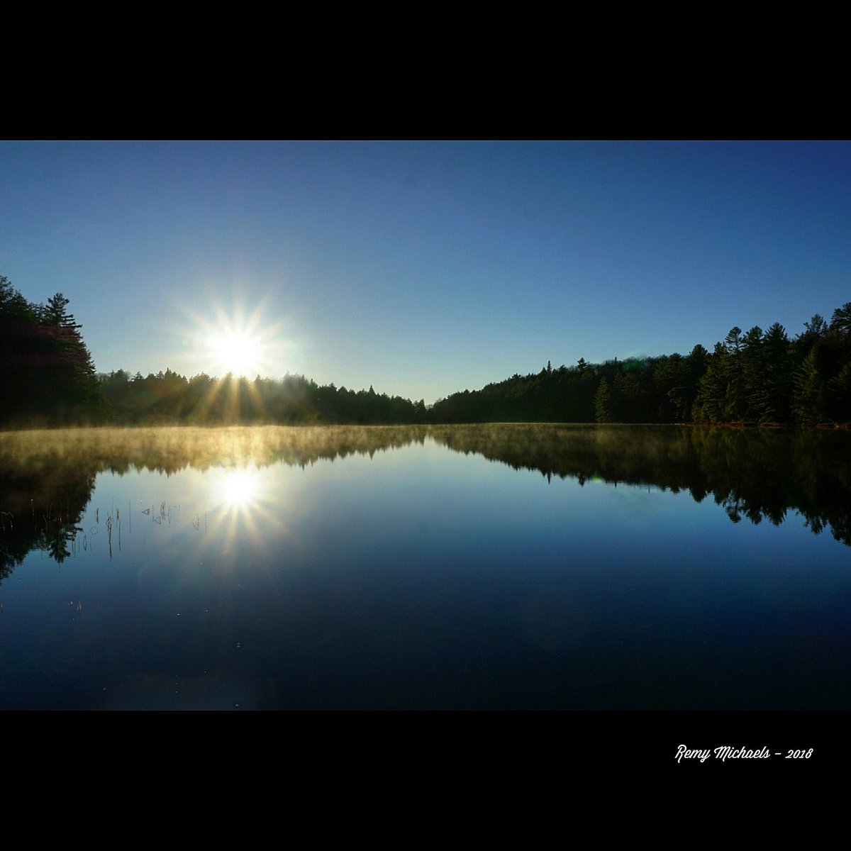 remymichaels's tweet photo. "NORTHERN SUNRISE" https://t.co/lIYfVaAVYU #AdventureTrailRunning #AlgonquinPark #Wilderness #Sunrise #PicOfTheDay #Travel #Nature #Muskoka #Huntsville #Survivalist #Zen #Photography #Art #Earth 🌎🙏☀️😎✌️👍🏃💪🌲📸🐾🐈🦆🐿️🐻🦃🐯🦉🐶🐹🐦🐠🦌🐤♥️🇨🇦 https://t.co/bMKoqKTesD