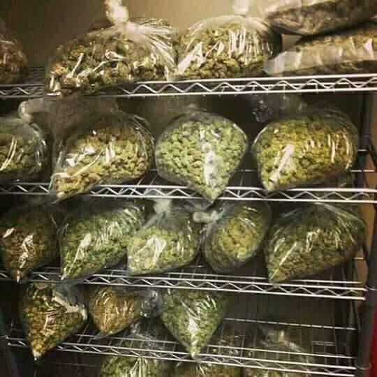 LPop420's tweet photo. Many popular people complain alot about their health when they have thier best medicine online,your health is more important than what ever you need in life, buy your meds online from lil pop. https://t.co/mJHVCJo4CK