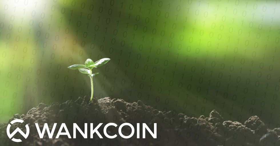 Wankcoin tweet media