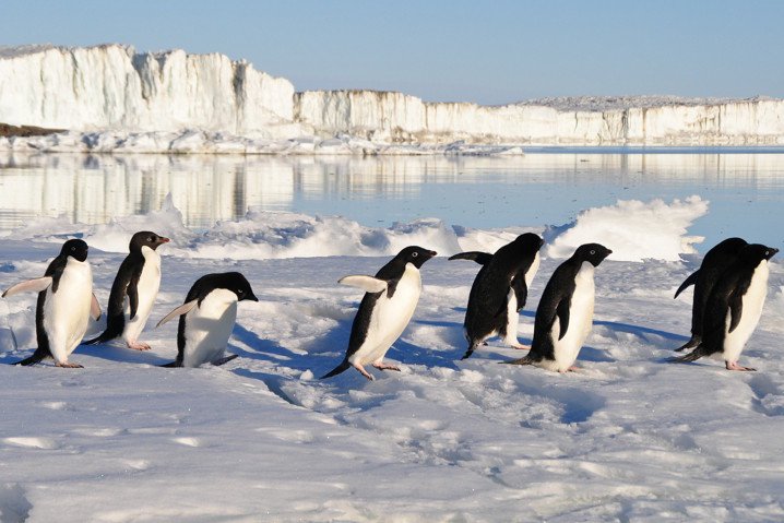 TecnoTabNet's tweet image. Linux Hacks se piratea y filtra datos de 276,000 cuentas de usuario goo.gl/nFi9V3 vía @TecnoTabNet