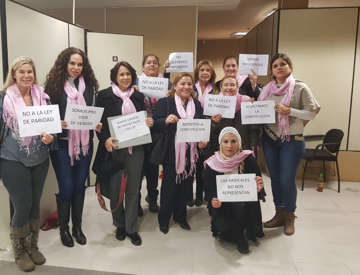 alicalabro's tweet photo. Victoria Femenina! 
Logramos un proyecto de promoción y capacitación y no de Imposicion!
#NoalaleyDeLaParidad https://t.co/DCEvr63XcA