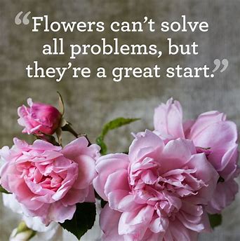 theflower_co's tweet photo. Make someones day and watch them smile #buyflowers #giveflowers https://t.co/sIod7UwEnp