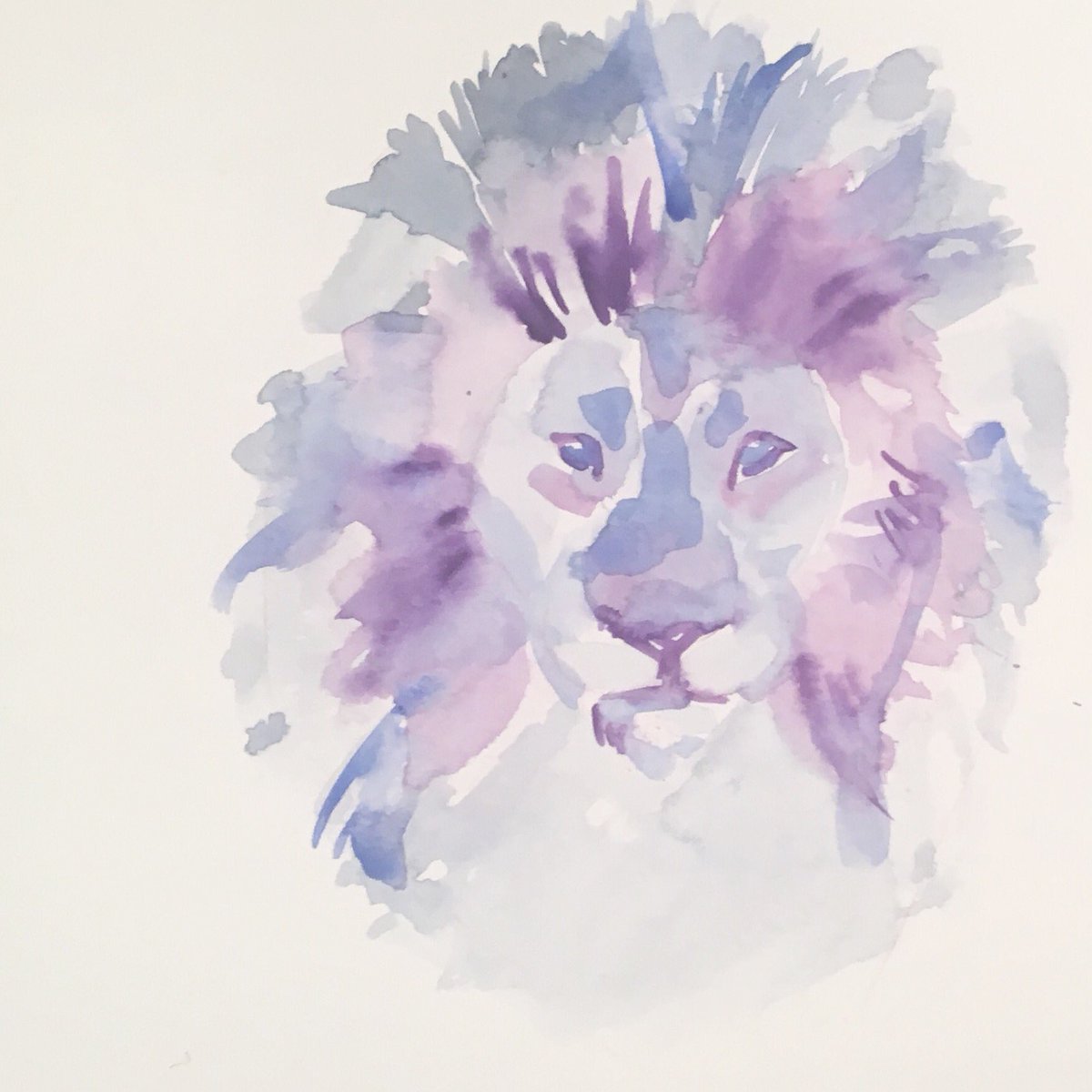 AnimalsAnne tweet picture