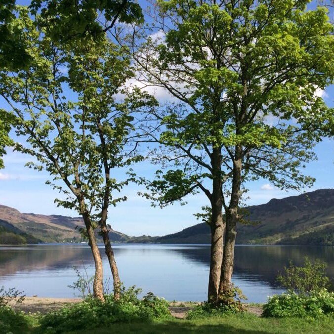 Love the view of Loch Earn through the trees #lochearn #Perthshire #Scotland #hiddenscotland #travel #outdoors #iPhonephotography <a href="/welcomescotland/">Welcome to Scotland</a> <a href="/UndisScot/">Undiscovered Scotland</a> <a href="/Scotland_Mag/">Scotland</a> <a href="/VisitScotland/">VisitScotland</a>