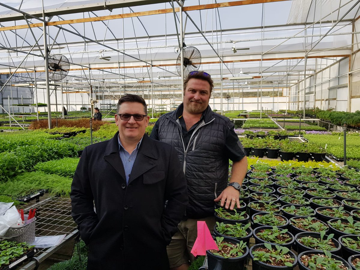 autogrow's tweet photo. While in Australia Darryn dropped in to visit one of our favorite growers JD Propagation. They have over 3000sqm of #greenhouses running  our #MultiGrow for #herbs, flowering annuals, flowering perennials, strappy leaf plants, shrubs, #vegetables and indoor plants. 😎 https://t.co/sxtlDr2yka