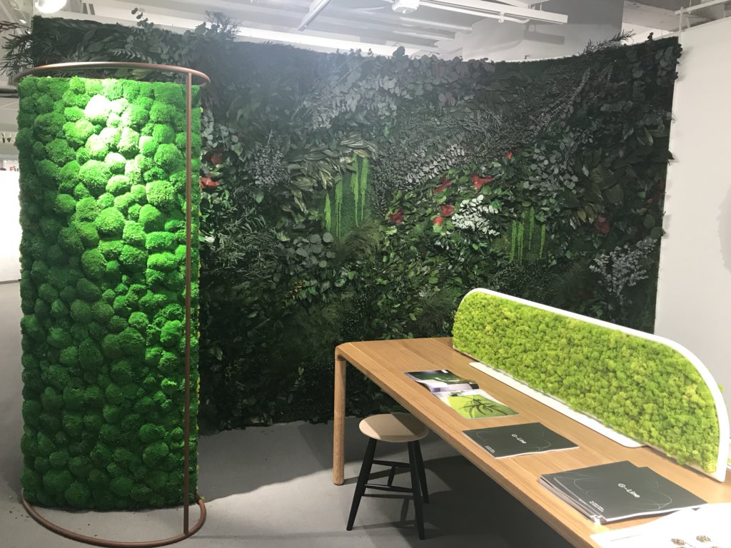 DMCastles's tweet photo. Nothing beats fully preserved moss dividers for a truly organic workplace. Bringing immersive biophyllic design to the next level. #greenmood #NeoCon50 #NeoCon2018 https://t.co/7IPSjfpmeX