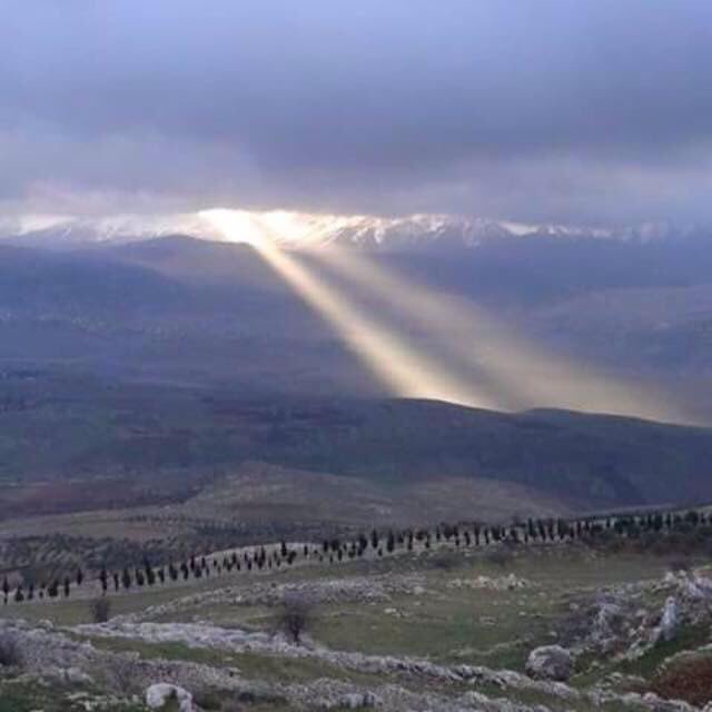rorsh284's tweet photo. يا جبل البعيد خلفك حبايبنا .... https://t.co/n455tVAMF1