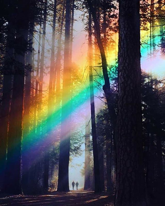 SOUND Quote:
The spectrum quality of light we call #peace can only be created if we encode our #thoughts, #emotions, and #deeds—the #vibrations of #human reality—with #love and #goodwill.

#WorldPeace #worldcup #humanity #HumanRights #Politics