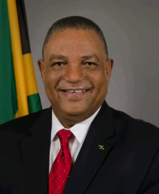 JamaicaPNP's tweet photo. "Farm workers are required to leave their primary residence to visit the Ministry of Labour to complete their medical. I am recommending the use of medical services in Western Jamaica, to assist with the medicals  for the Farm Work Programme." #SectoralDebate2018 #TeamPNP https://t.co/C5a5y2GjeW