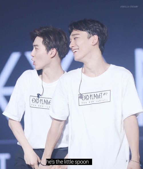 suchen