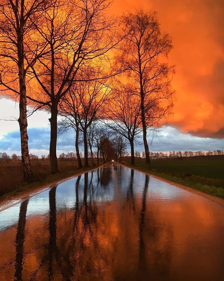 CUMALi_YILDIZ's tweet photo. Regrann from @ schlingel_fotografie - Brennender Himmel heute Abend über Gronau.😳
Keine Nachbearbeitung! Die Sonne strahlte kurz vor dem Sonnenuntergang die Wolken von unten an!
#gronau #münsterland #ig_nrw #westfalen #burningsky #burningclouds #cloudporn #orangesky #skyporn https://t.co/nzyDx3rYKv