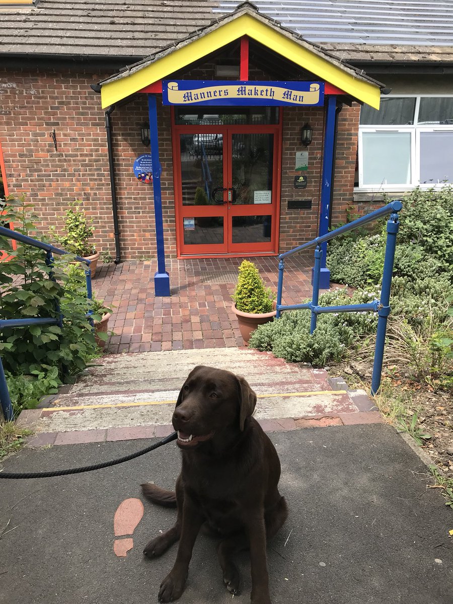 Today I had great fun on my transition visit to Freemantle School. The year 6 students gave me lots of carrots. <a href="/RegentsParkCC/">Regents Park Community College</a>
