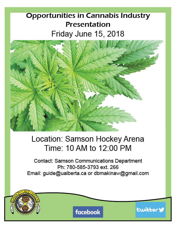 SamsonCree's tweet photo. Jobs in the Cannabis Industry presentation this Friday June 15, 2018. @SamsonCree @ErmineskinCree #MontanaFirstNation #LouisBullFirstNation #MaskwacisCree #Maskwacis https://t.co/pOjXTVS3r3