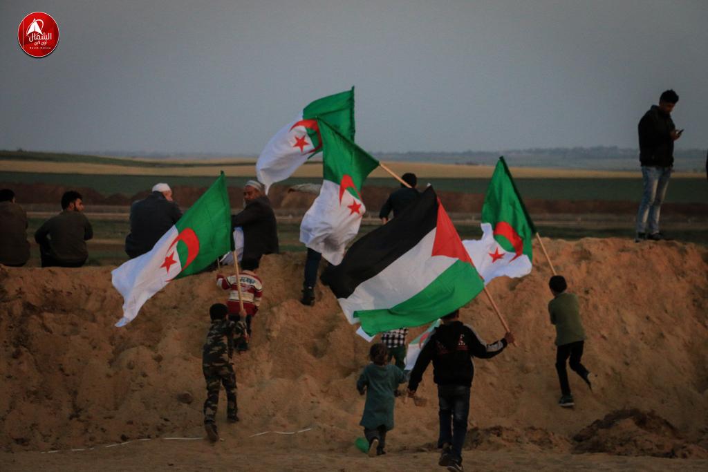 الجزائر في قلب فلسطين