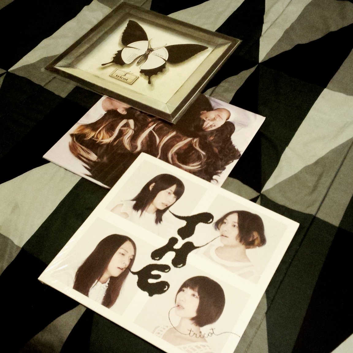 TheStaticalpha's tweet photo. Tricot Vinyl Albums <3 180g pressings!  #JapaneseMathRock #LoveMusic  Give them a follow!!! @tricot_band https://t.co/rgPL4ECyDD