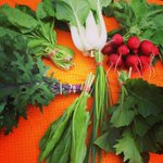 Photo by Calypso Farm (@CalypsoFarm)