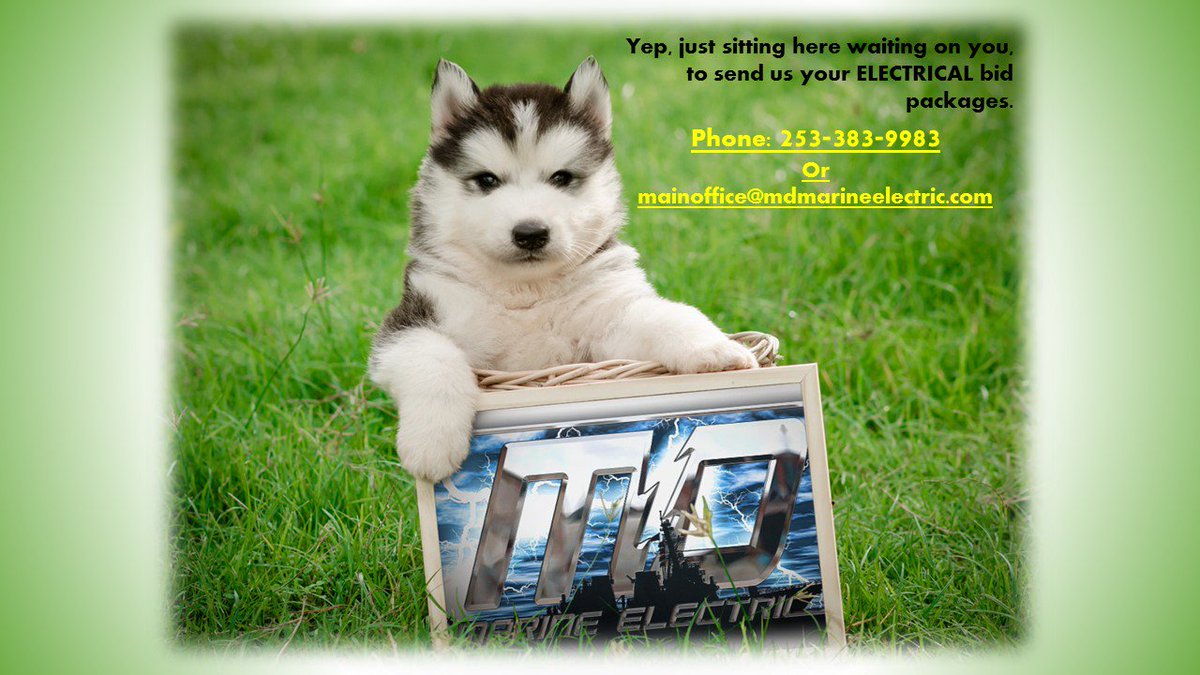 mdmarineelectric.com