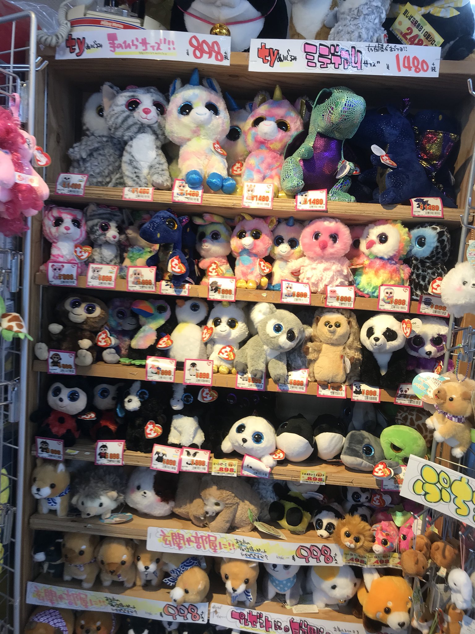 シン吉 Tyjapan ぬいぐるみ 八王子ドンキホーテ 八王子ドンキホーテに行って来たら Tyが売ってましたー ビックリー シン吉 Tyjapan ぬいぐるみ 八王子ドンキホーテ 八王子ドンキホーテに行って来たら Tyが売ってましたー ビックリー