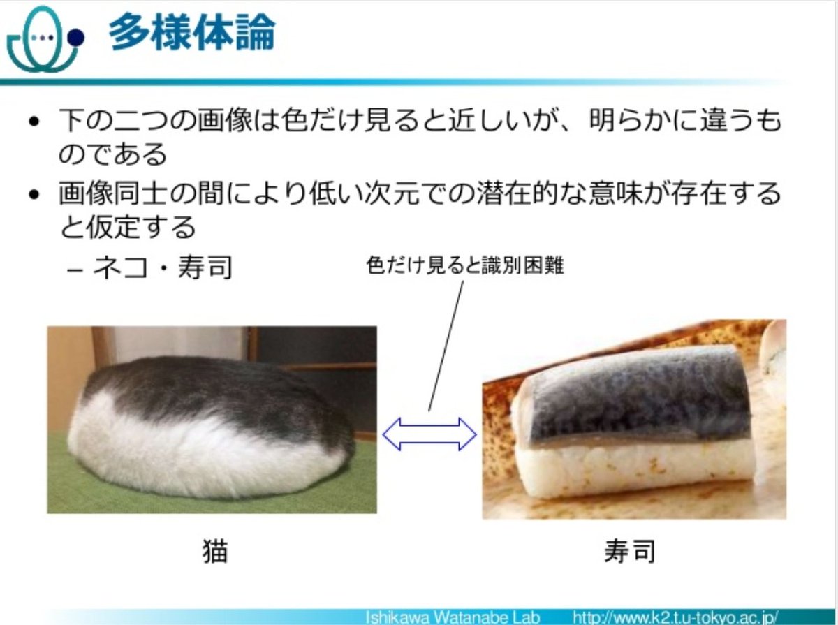 猫 ほぼ寿司らしいので検証してみた つまり幸せの塊 Togetter