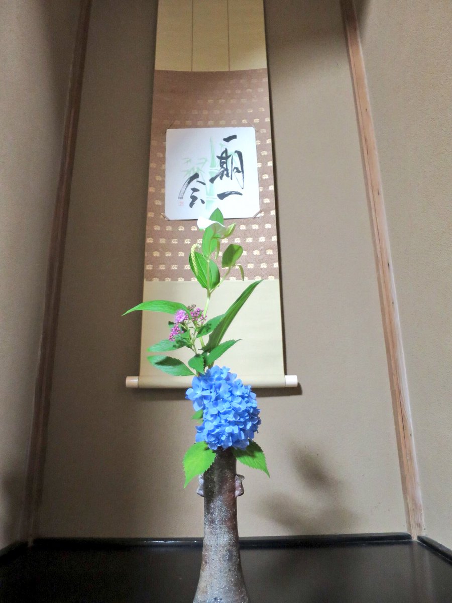 tokai_sado's tweet image. 昨日は新人茶会を催しました

みんな緊張していたみたいですが、全員上手な御点前でした！

本茶会の御釜と食籠は、去年の50周年記念のOBの方々からの寄贈品です！

とある部員は、鱗鶴の棗と食籠に興味津々でした笑