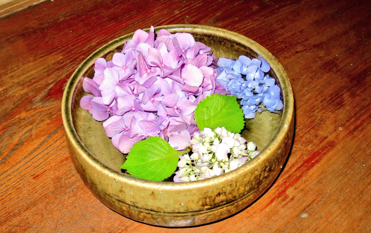 tokai_sado's tweet image. 昨日は新人茶会を催しました

みんな緊張していたみたいですが、全員上手な御点前でした！

本茶会の御釜と食籠は、去年の50周年記念のOBの方々からの寄贈品です！

とある部員は、鱗鶴の棗と食籠に興味津々でした笑