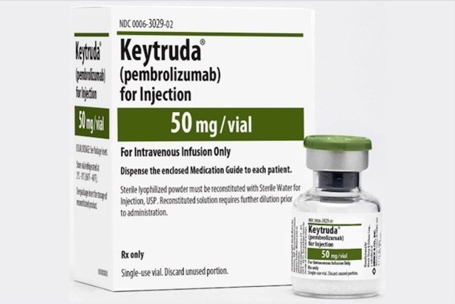 oncologicainfo's tweet photo. Pembrolizumabe: novas indicações são aprovadas no Brasil https://t.co/Cly3MSfPVB https://t.co/xhsSBL6MEQ