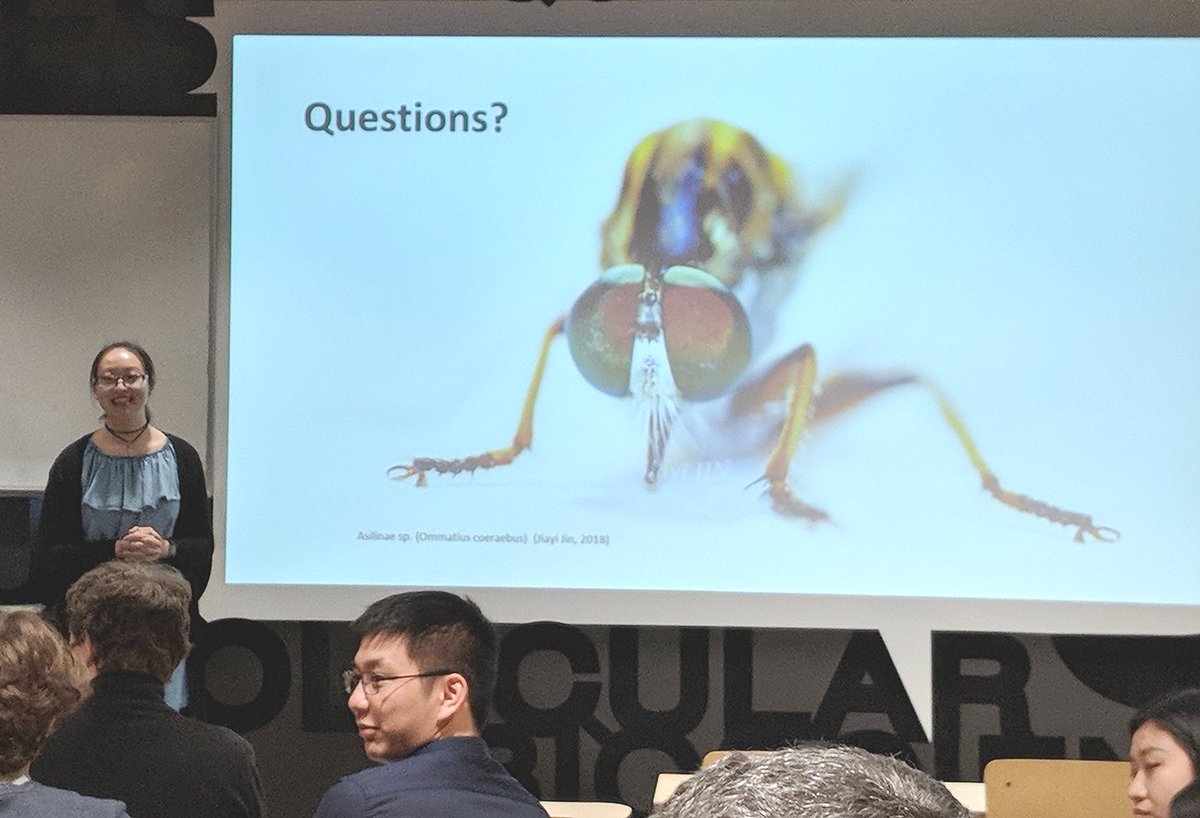 VenomsLab's tweet photo. Congratulation @VenomsLab student Jiayi Jin @E_Sky9618 on an outstanding final seminar for her BSc Honours thesis on the venom of a predaceous #AssassinFly. Superbly mentored by Andy Walker @insect_venomics. Very proud of you Jiayi! #WomeninSTEM @IMBatUQ https://t.co/eONGqyaHZu