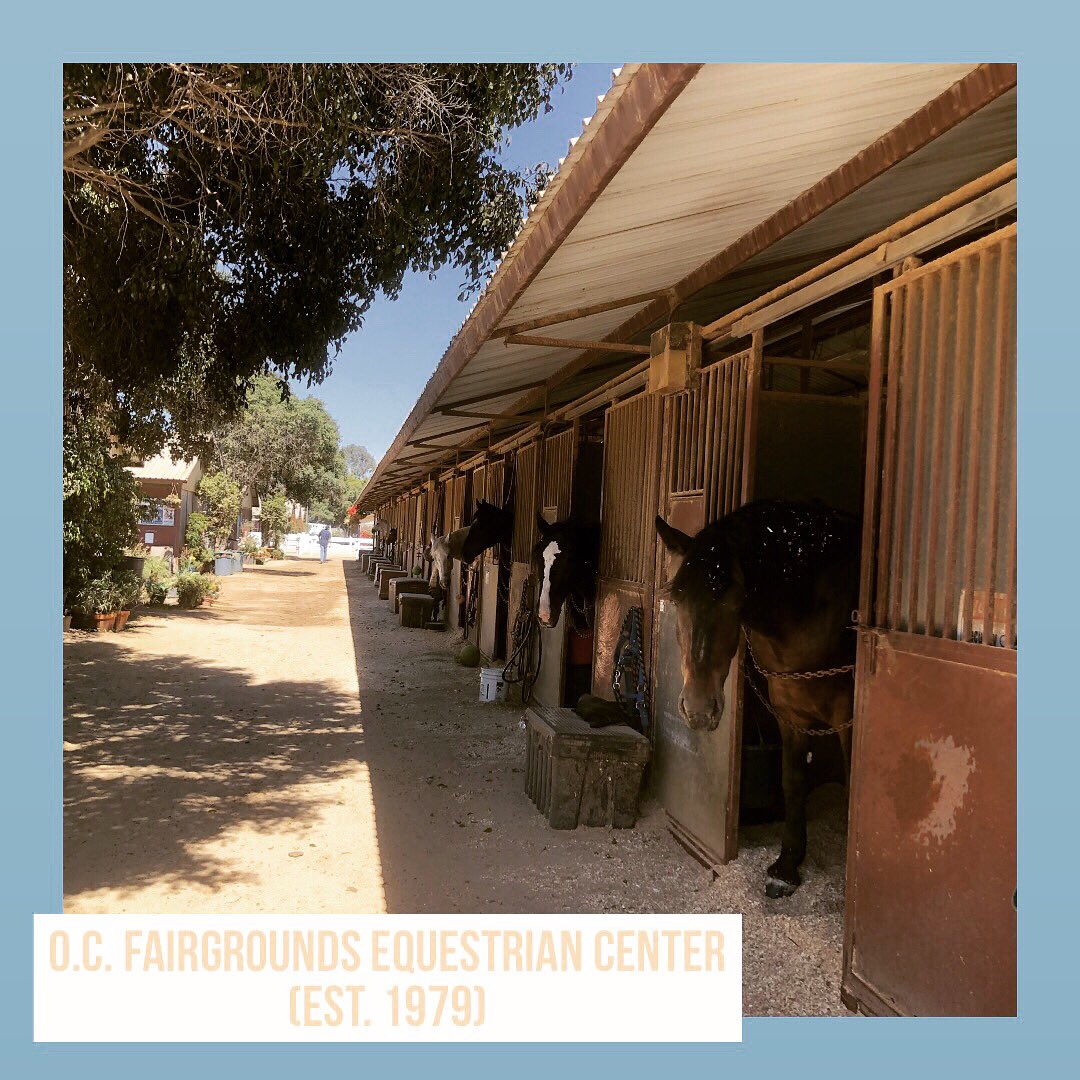 Arlis Reynolds (arlis4costamesa) Twitter