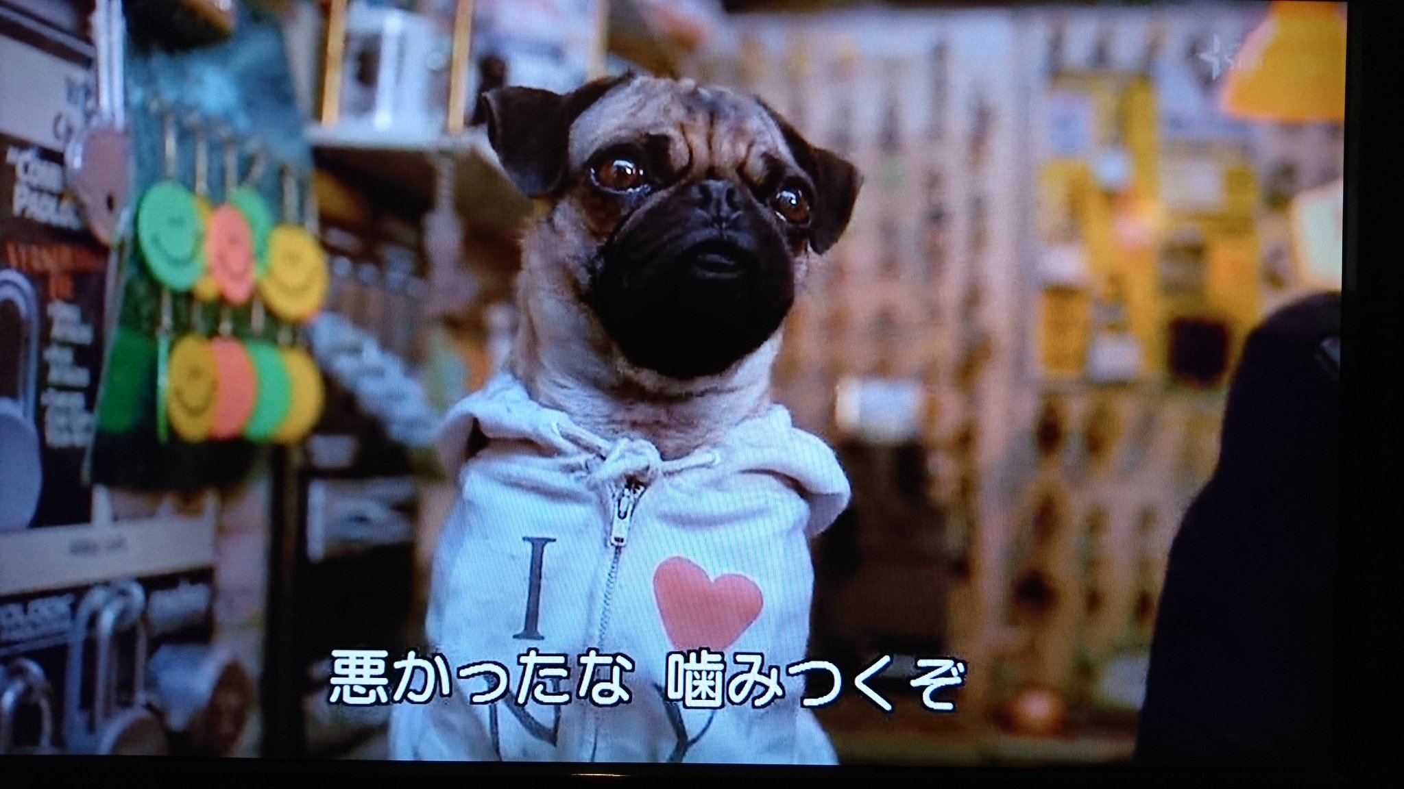 紅 朱赤 サウンドオブミュージック 1日1本オススメ映画 言わずと知れた名作なのでわざわざオススメするまでもないかなと思いますが長女リーズルとそのボーイフレンドのロルフのダンスがオルゴールみたいでめちゃくちゃ可愛いのとトラップ大佐の歌う