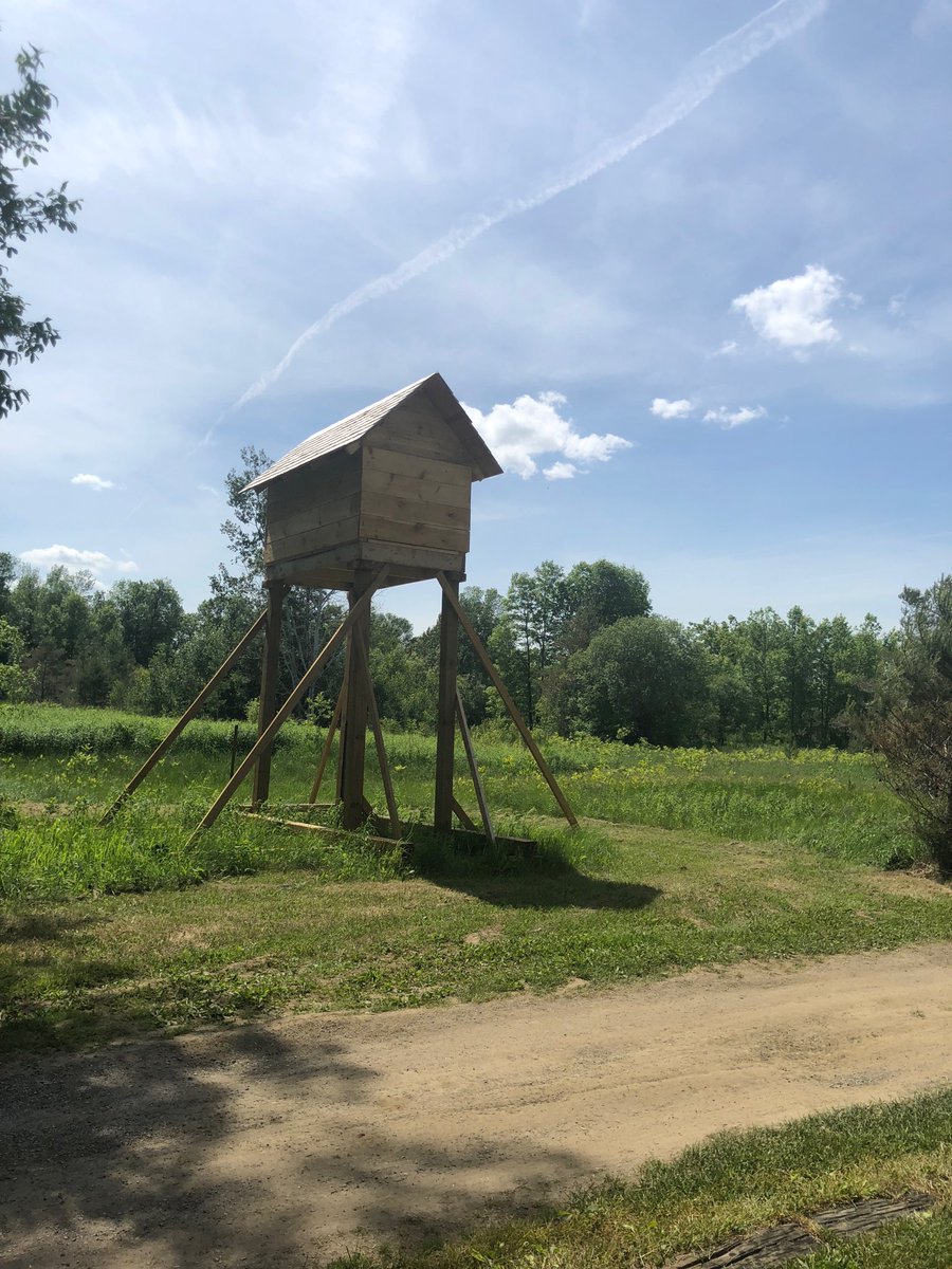 club_ottawa's tweet photo. The birdhouse on 12 tees #barnswallows #birdhouse #golf #jockriver #Ottawa https://t.co/K7eTVEKq1k