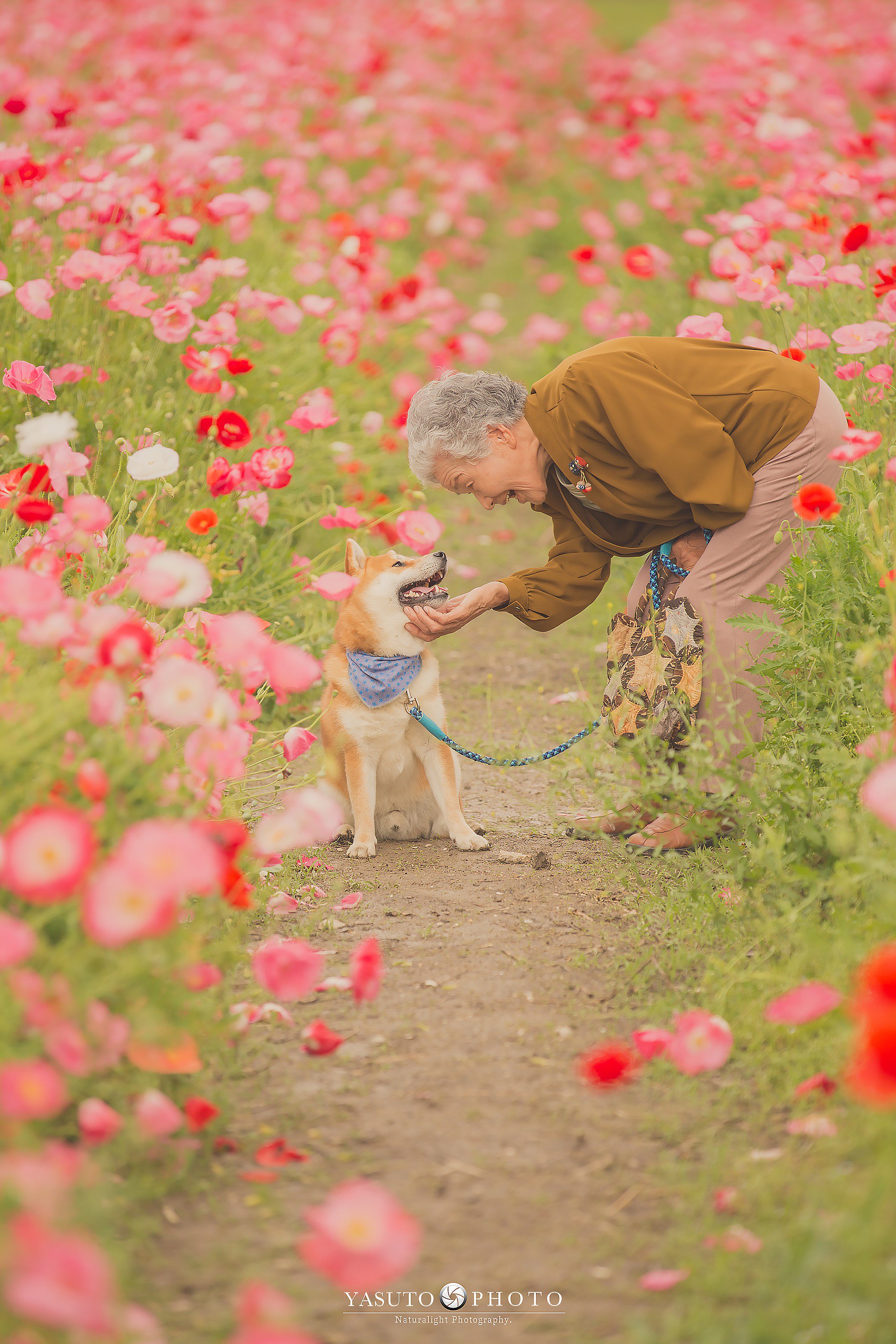 Yasuto 笑う門には福来たる 自分のおばあちゃんと 芝犬の福ちゃん T Co Ggd061lcth Twitter