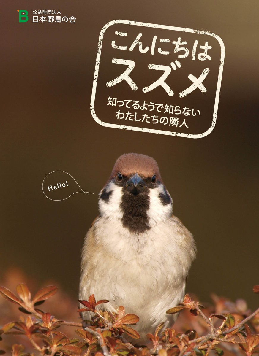 日本野鳥の会 お散歩ひなこ בטוויטר 日本野鳥の会のひなこです 日本野鳥の会ではただ今 小冊子 こんにちはスズメ をお申込みの皆さまにプレゼントちう 可愛いスズメの暮らしを覗いてみませんピヨ お申込みはコチラ Https T Co Venx8jhqki