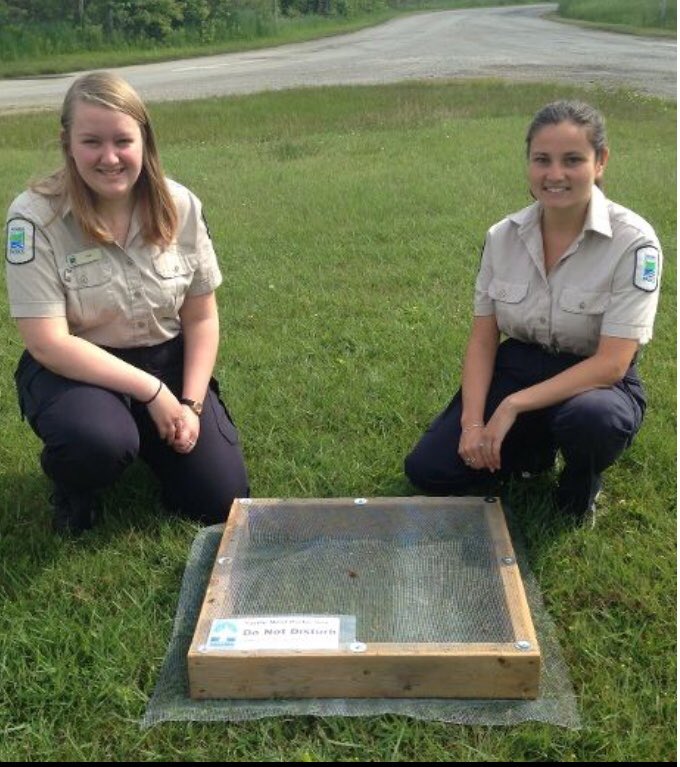 TurkeyPointPP's tweet photo. Our friends at Long Point are doing their part to help protect turtle nests #turtleTuesday #Longpointpp. https://t.co/fIFizZUUoL https://t.co/QW3PhOxfwH
