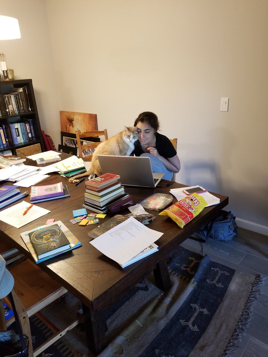 OphirGottlieb's tweet photo. That is #stockcat Squirt helping @alicia__newman with finals. Very involved reading. https://t.co/6Mp1oLOJ3f