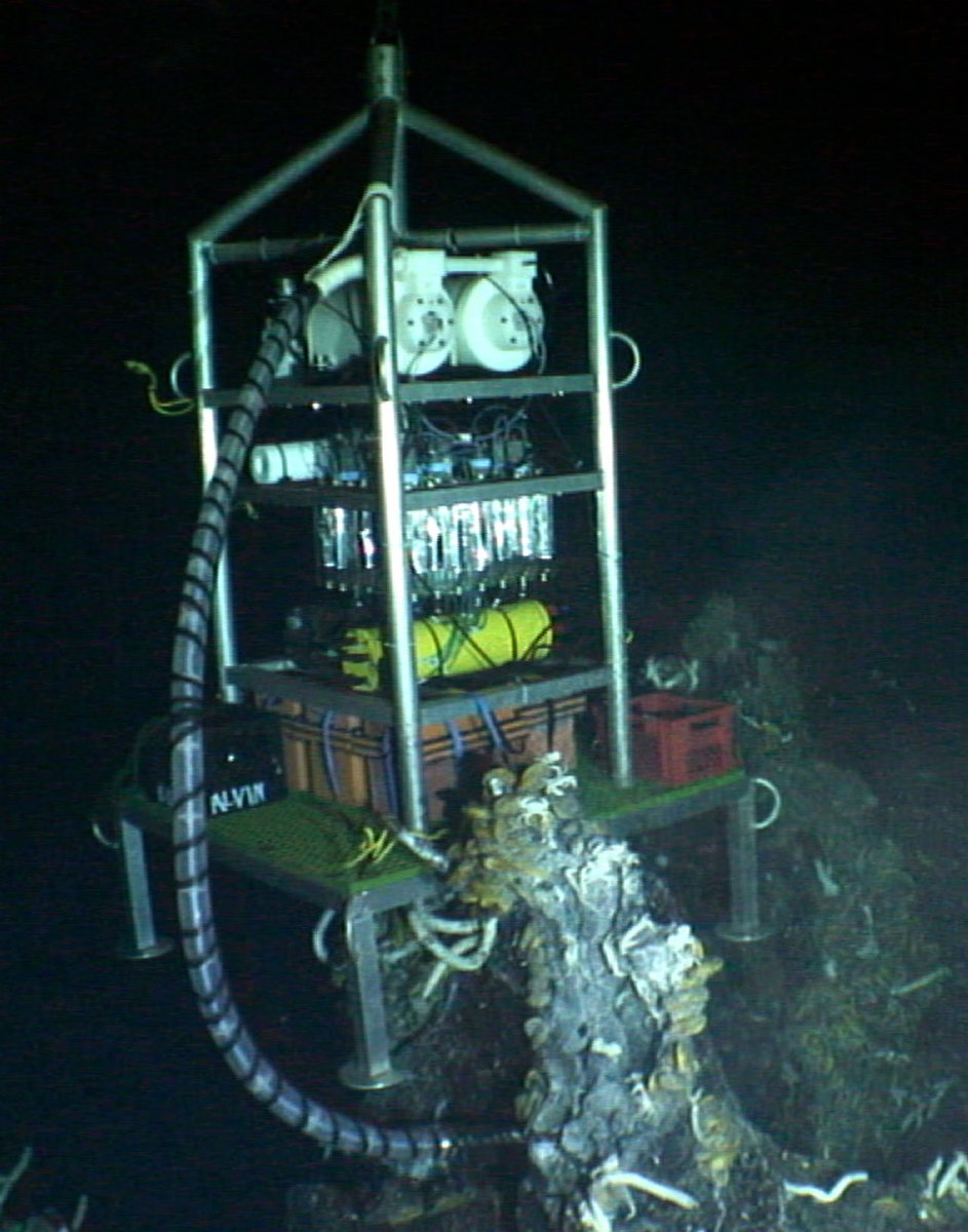 TechSciReport's tweet image. Fueling a Deep-Sea Ecosystem
whoi.edu/news-release/s…