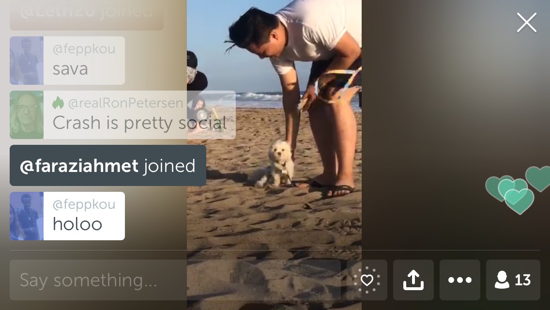 realRonPetersen's tweet image. Watch @ChrystallJane&apos;s broadcast: Beach with Crash #turtlepoints 🐢🧜🏽‍♀️🌊 pscp.tv/w/bfBxyjF4ZUtX…