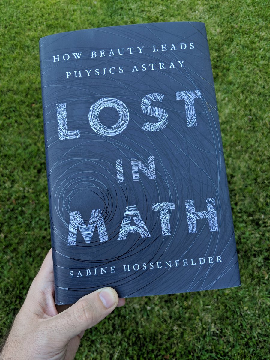 tweetsauce's tweet photo. Sabine Hossenfelder's (@skdh) LOST IN MATH arrived today! Bring on the mathematical messiness!! https://t.co/ExHORBH1jO