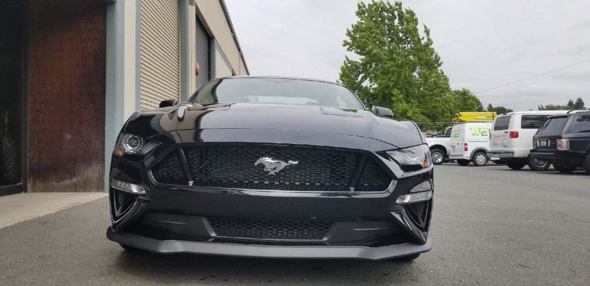AVOclearbra's tweet photo. 2018 5.0 Mustang protected w/our Standard Package #5point0 #ford #musclecars #carwrap #waxing #burnout #mustang https://t.co/cR1tlV2IYd