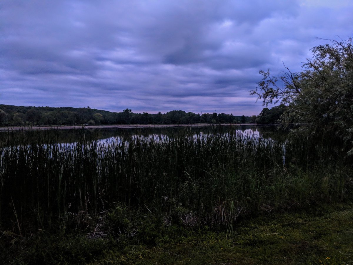danielhuman's tweet photo. Nice to stop by Bond Lake tonight at dusk to listen to the fish jumping, frogs singing and crickets chirping. https://t.co/wfaDIluHVt