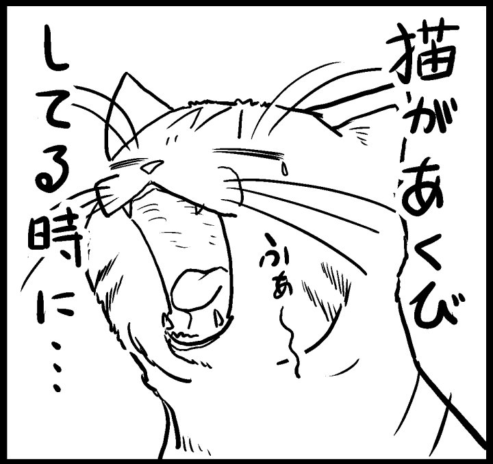 猫マンガだボイ。(^^)
#猫 