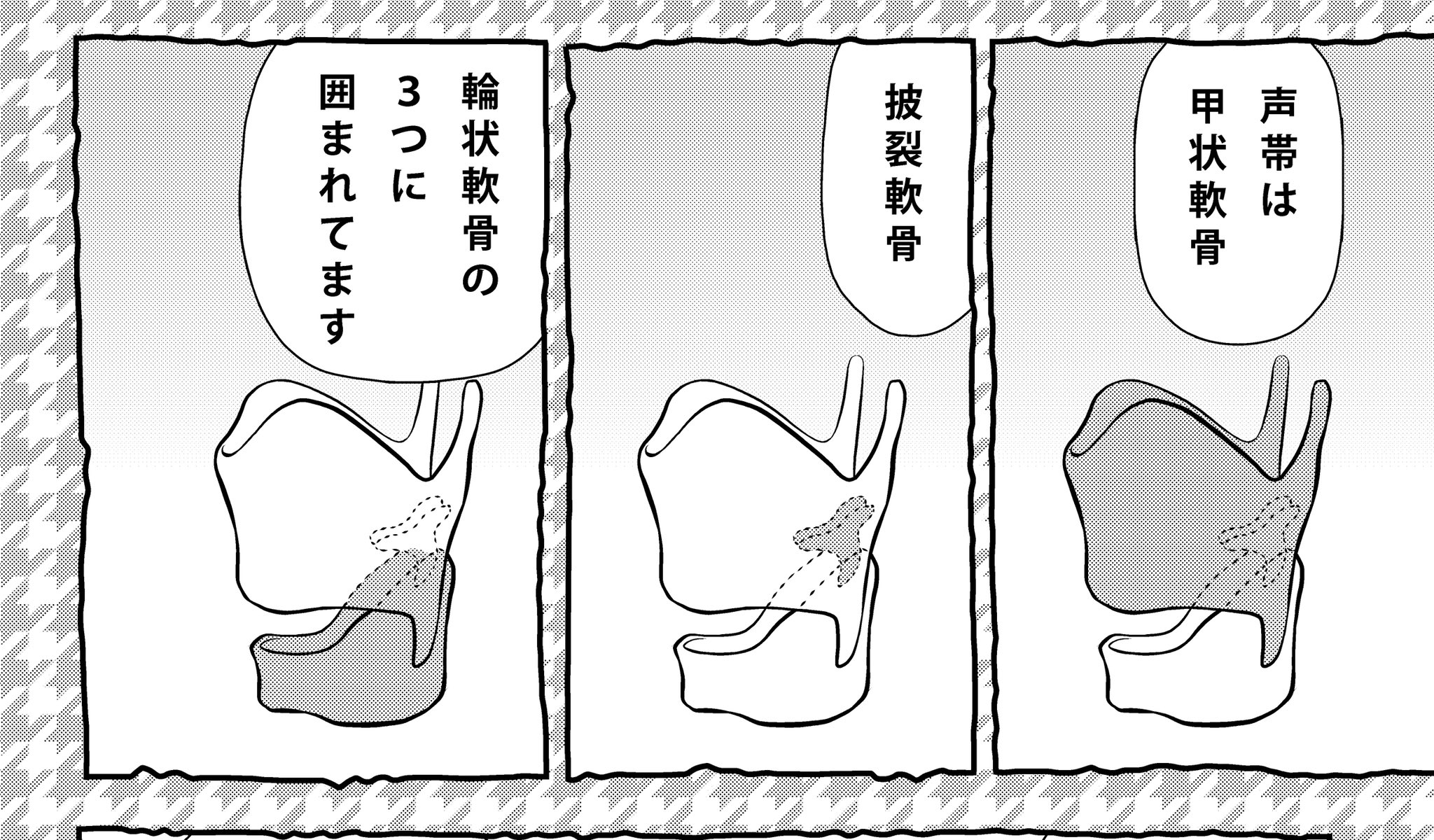 小西 真冬 この筋肉操作は 声を作るときにも有効です 声帯は３つの軟骨に囲まれているのですが そのまわりの筋肉を収縮させる事で 軟骨の角度や声道の形を変えて 音の高低 音質を変えることができます T Co Hs5xffua1b Twitter