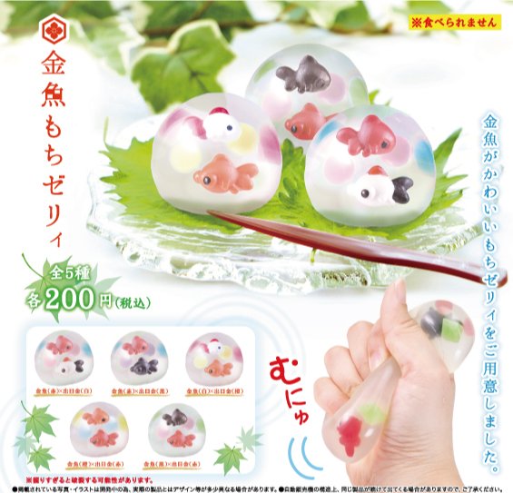 ☆6月発売の商品ご紹介☆ 6月25日より発売開始予定 「金魚もちゼリィ