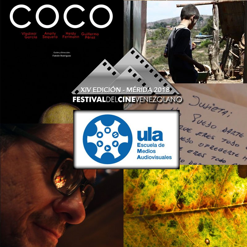 Festival del Cine Venezolano tweet media