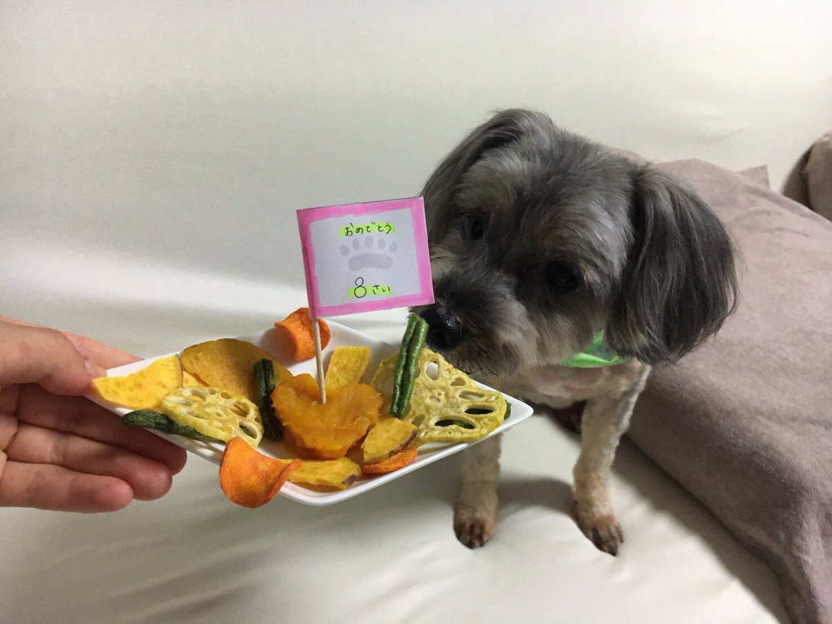 0225shimazaki's tweet photo. my dog🐶 https://t.co/sMq7tRisY5