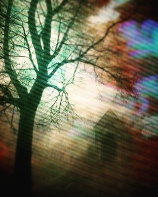 TheBethdamah's tweet photo. Ritual Gloom #gloompig #gloom #doomandgloom  #sadnessparty #bethdamah #ritual #veils #allwhowanderarelost #soon https://t.co/5DXQs1wxgi